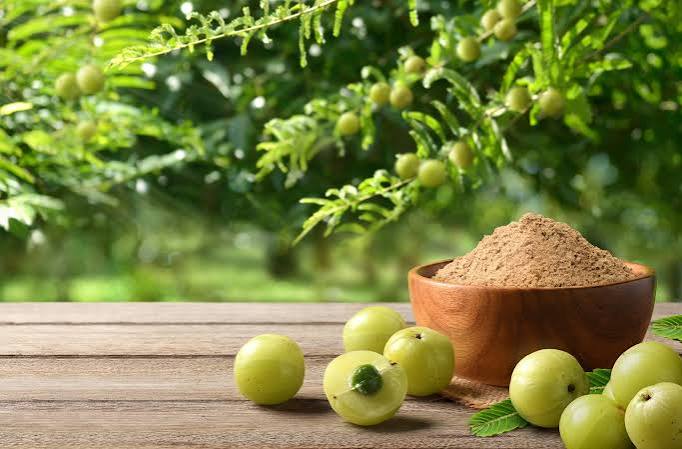 Botanical Extracts